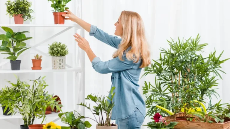 Top Plant Care Gadgets for Busy Urban Gardeners