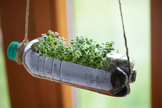 Creative Ways to Use Unusual Containers for Your Plants