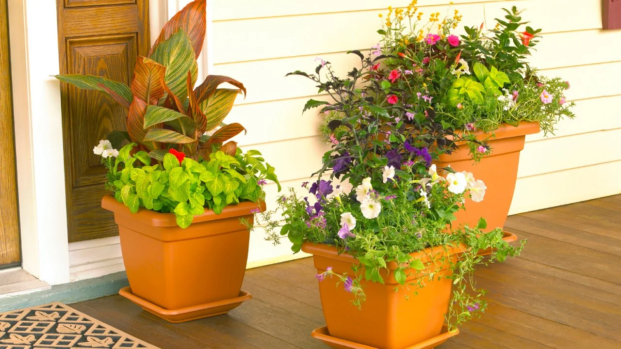 How to Design a Container Garden for Your Apartment