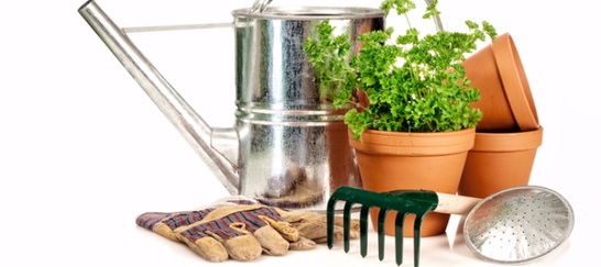 Top 10 Essential Tools for Apartment Gardeners