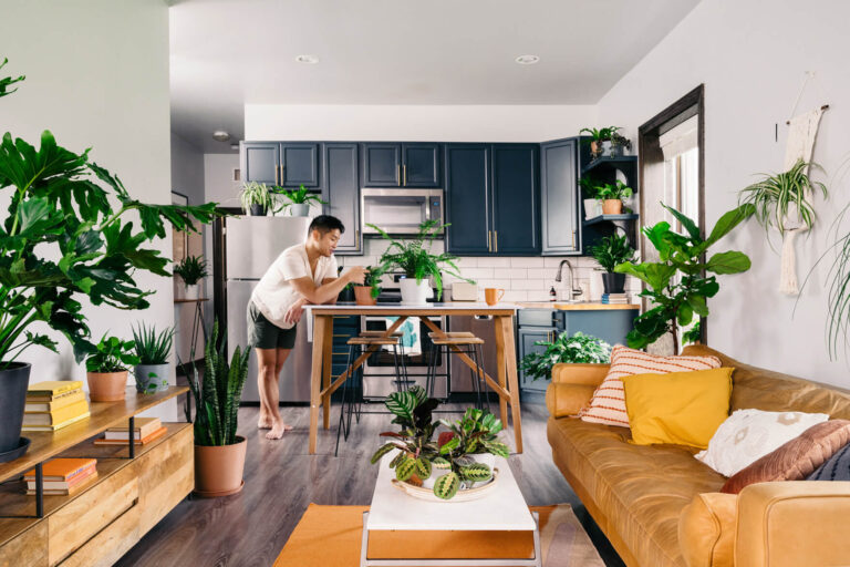 Best Plants for Small Apartments with Limited Space