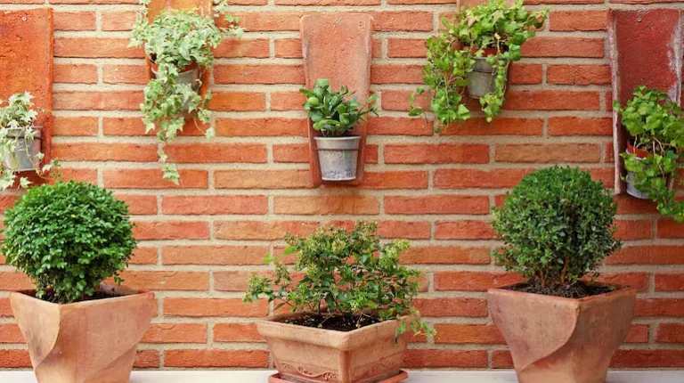 How to Create a Vertical Garden in Your Small Apartment