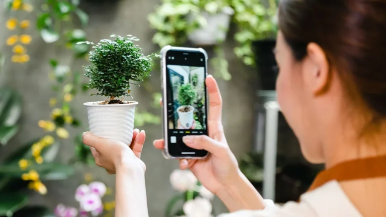 Top Plant Identification Apps for Apartment Gardeners