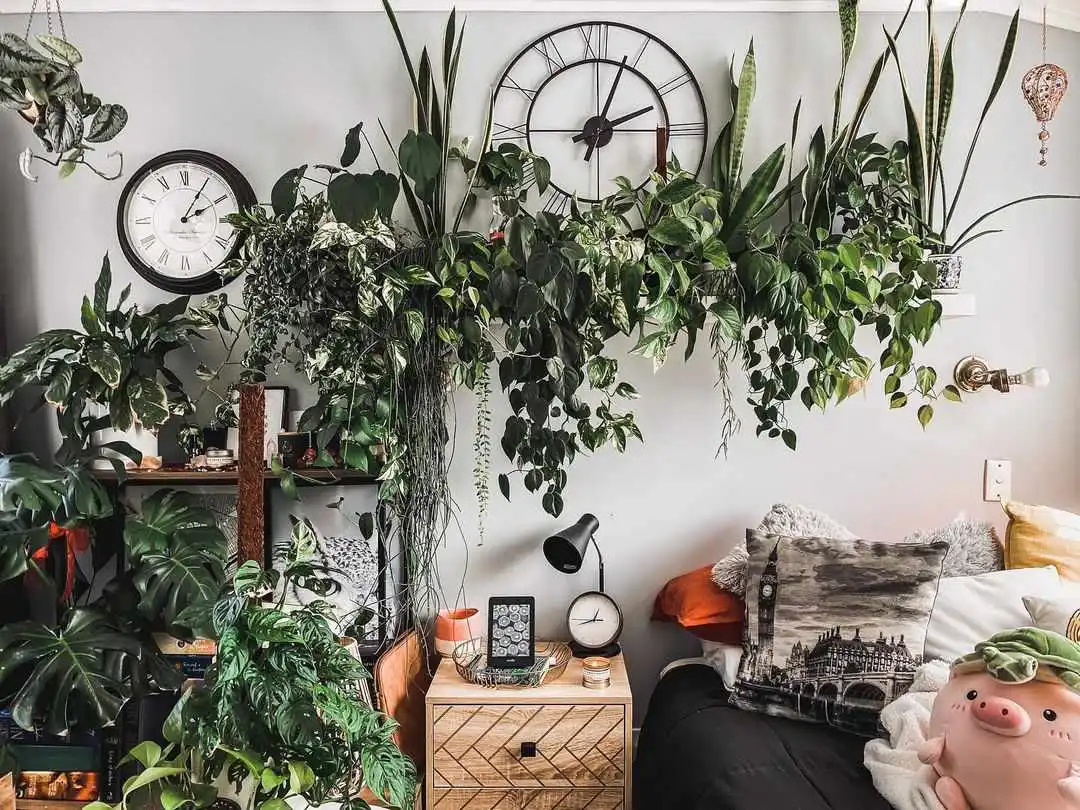 Autumn Plant Decor Ideas for a Cozy Apartment