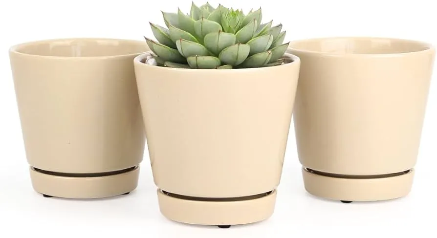 Top 10 Stylish Planters for Modern Apartment Living