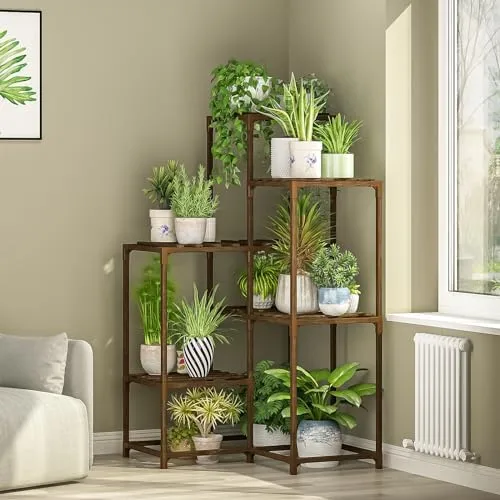 Spring Plant Ideas to Brighten Up Your Apartment