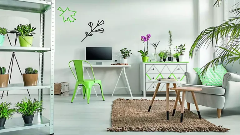 How to Create a Green Corner in Your Apartment