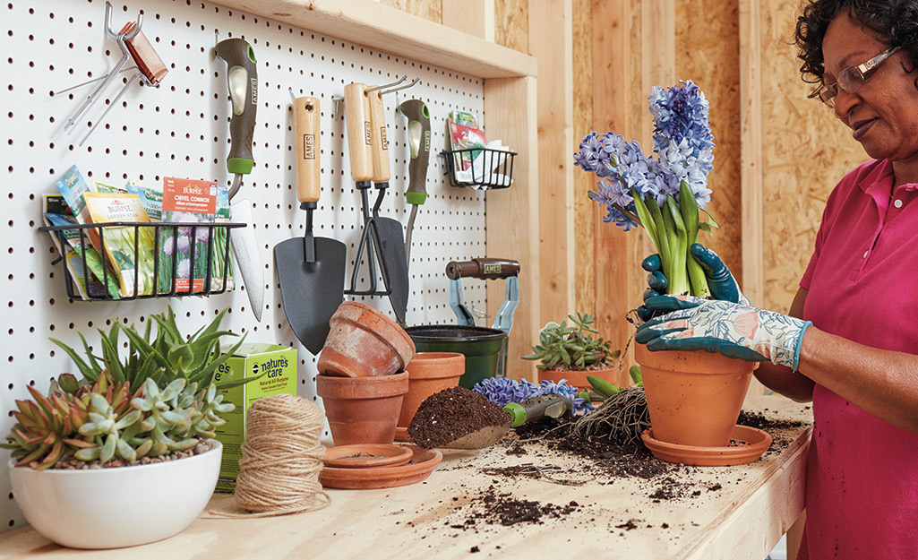 Must-Have Tools for Indoor Plant Care in Small Apartments