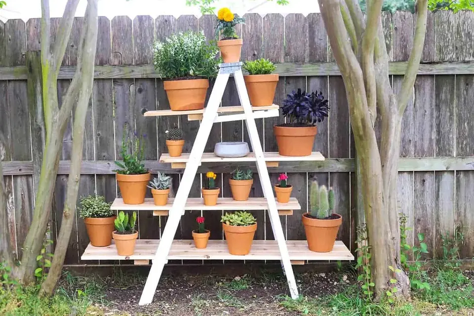 Building a Custom Plant Stand for Your Apartment