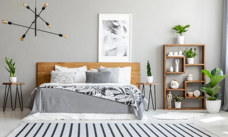 Bedroom Plants That Promote Better Sleep and Relaxation