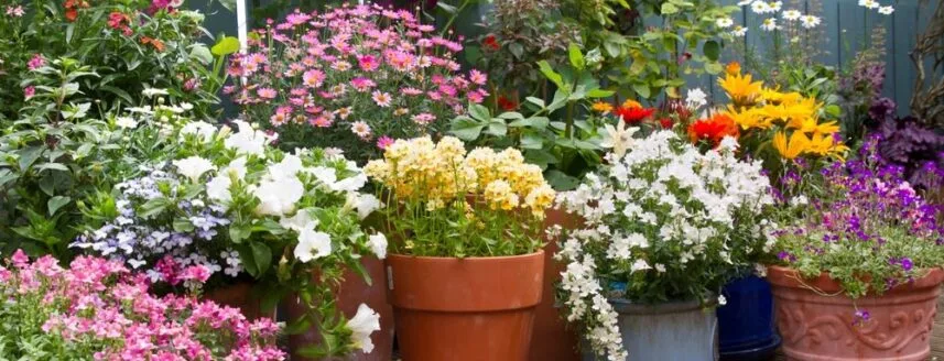 DIY Container Gardening Projects for Urban Gardeners