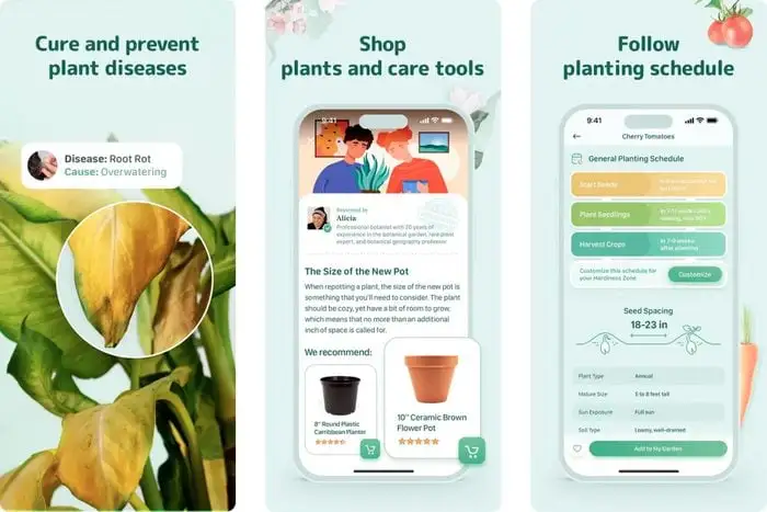 How to Use Plant Care Apps to Keep Your Plants Healthy