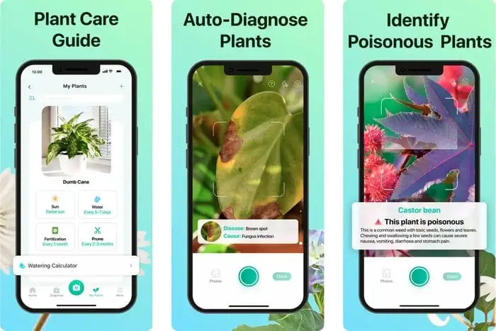 Reviews of the Best Plant Care Apps for Urban Gardeners