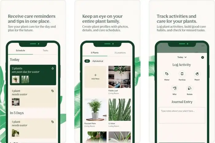 How to Track Watering Schedules with Plant Care Apps