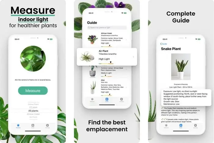 How to Use Apps to Create a Digital Plant Care Journal