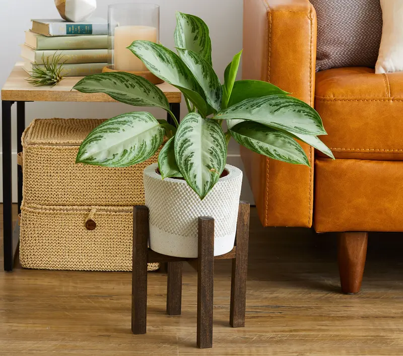 Building a Custom Plant Stand for Your Apartment