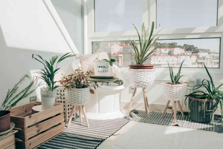 How to Use Plants to Enhance Your Apartment’s Aesthetic