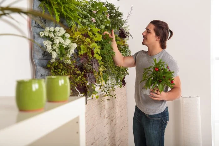 Step-by-Step Guide to Building a Vertical Plant Wall