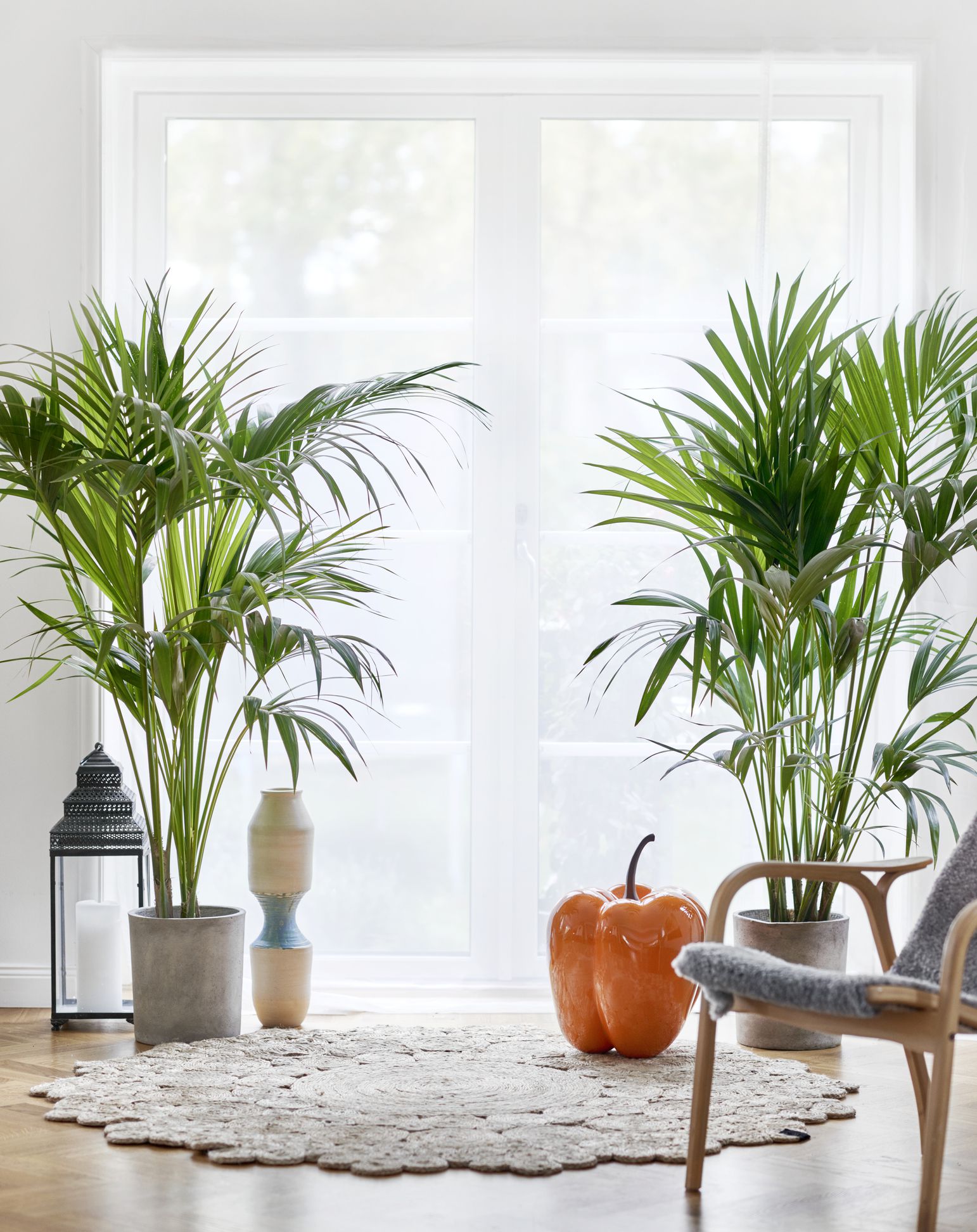 Best Plants for Your Bathroom: High-Humidity Friendly Choices