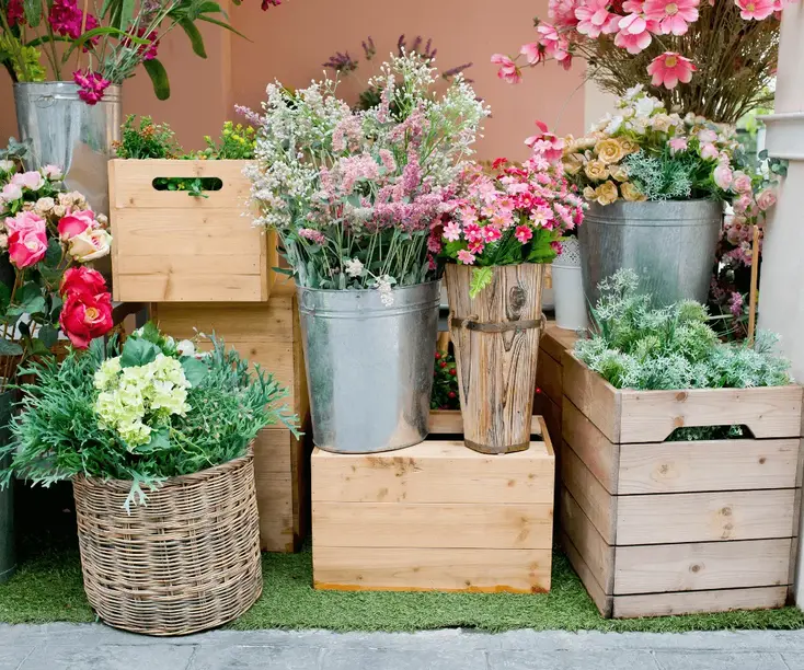 Creative Ways to Use Unusual Containers for Your Plants