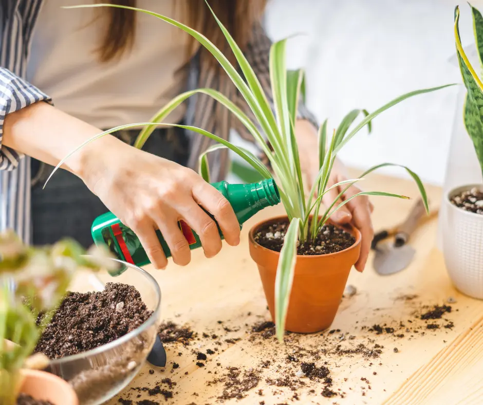 How to Grow Herbs in Containers in Your Apartment