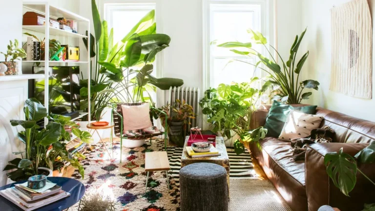 Summer Plant Decor Tips for a Fresh Indoor Space