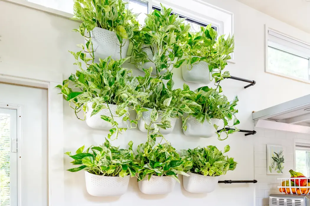 How to Create a Stylish Indoor Plant Wall Using Simple Materials