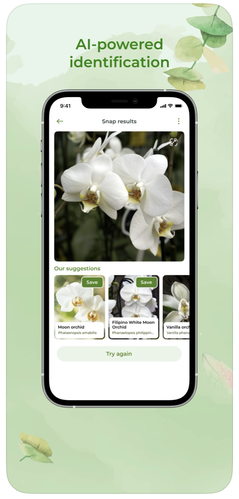 Top Plant Identification Apps for Apartment Gardeners