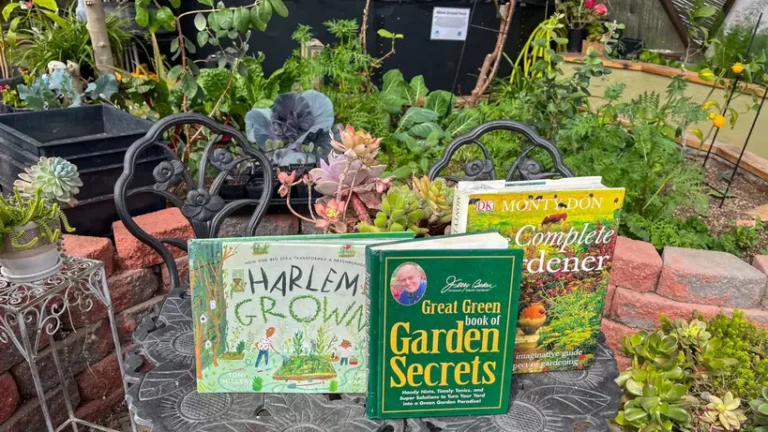 Top 10 Books for Apartment Gardening and Indoor Plant Care