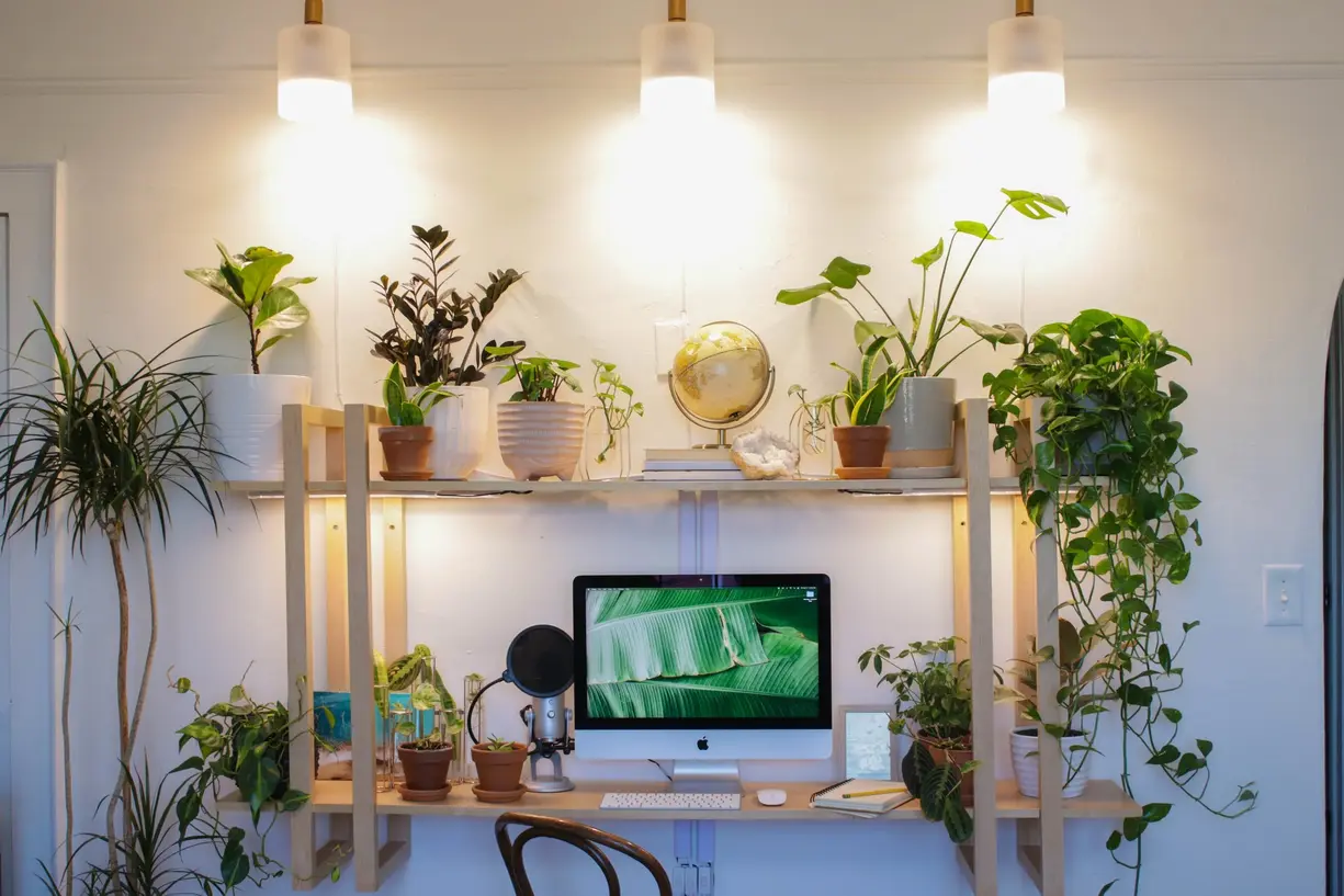 How to Select the Right Plant Lights for Your Apartment