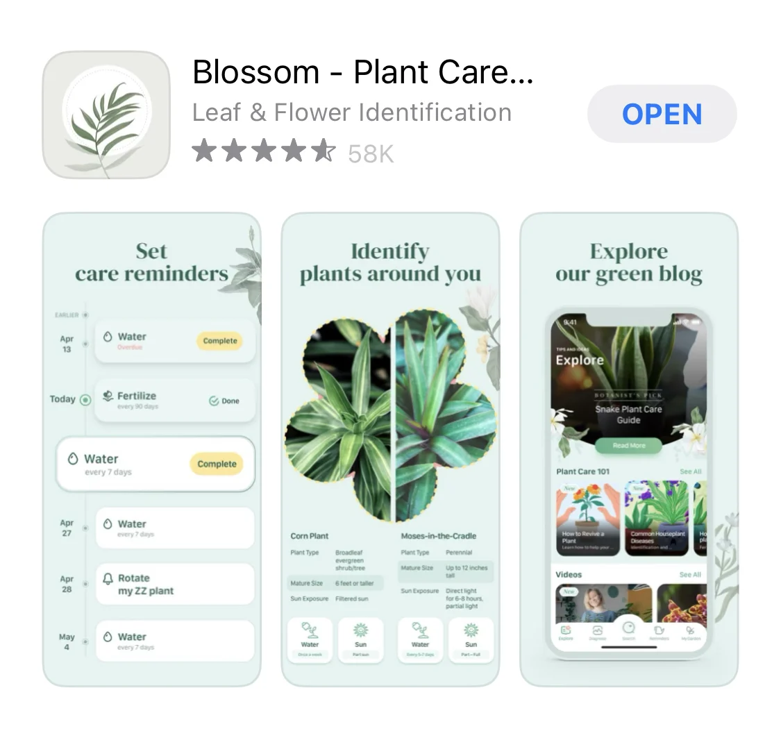 Reviews of the Best Plant Care Apps for Urban Gardeners