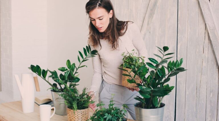 How to Avoid Common Seasonal Mistakes with Indoor Plants