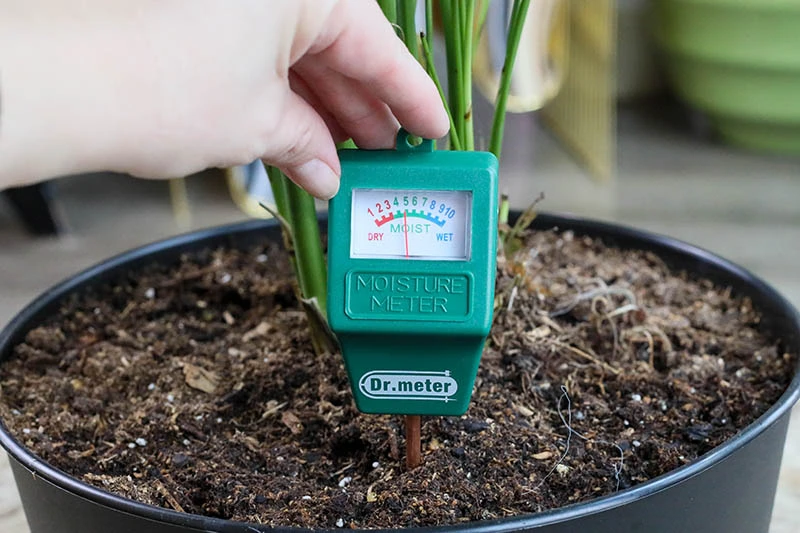 How to Use Soil Moisture Meters for Apartment Plants