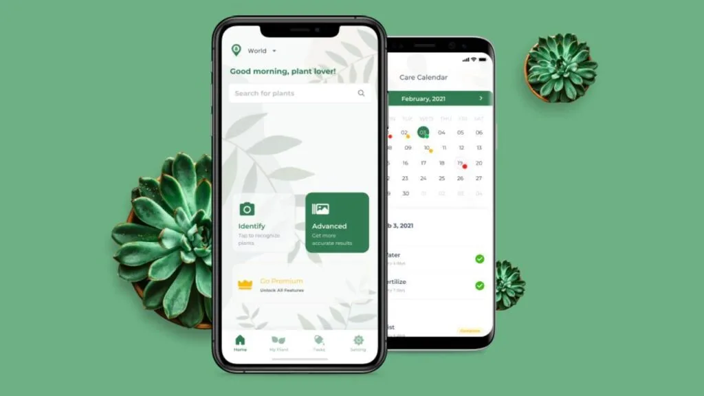 How to Use Plant Identification Apps to Identify Your Indoor Plants