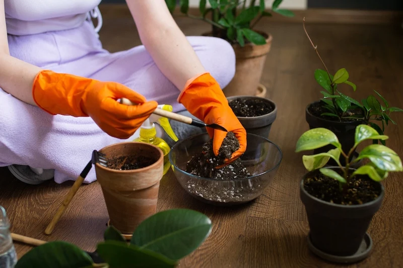 How to Create the Perfect Potting Mix for Apartment Plants