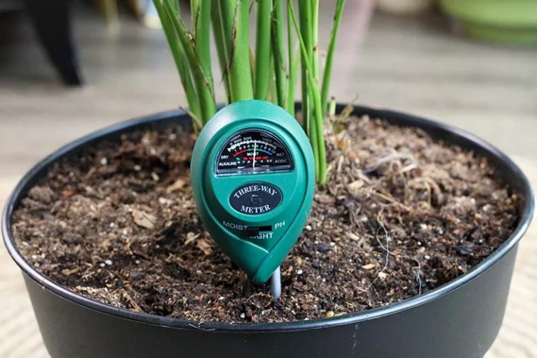 How to Use Soil Moisture Meters for Apartment Plants