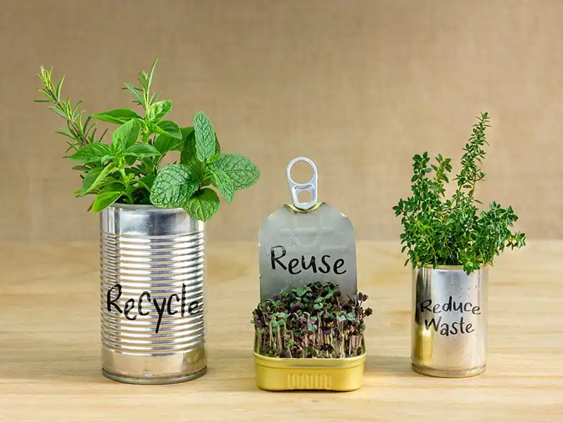 How to Repurpose Household Items into Plant Containers