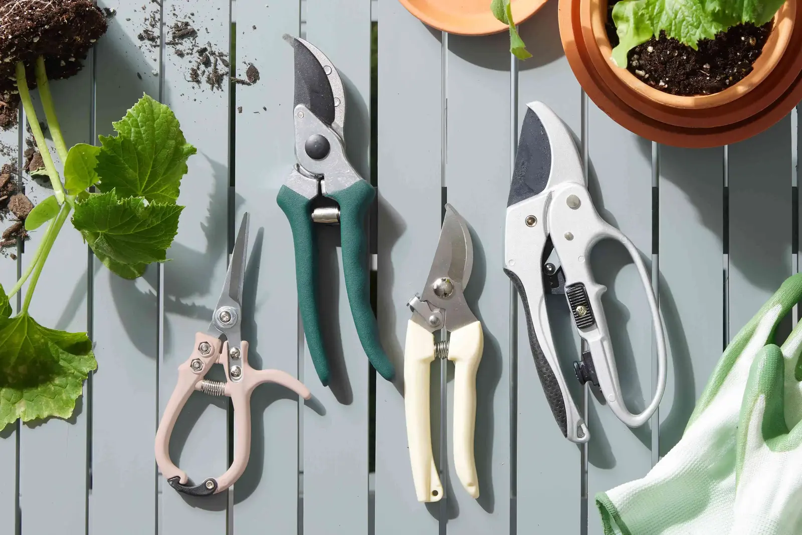 Best Pruning Tools for Maintaining Your Apartment Plants