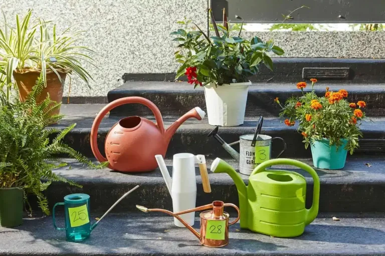 How to Choose the Best Watering Can for Indoor Plants