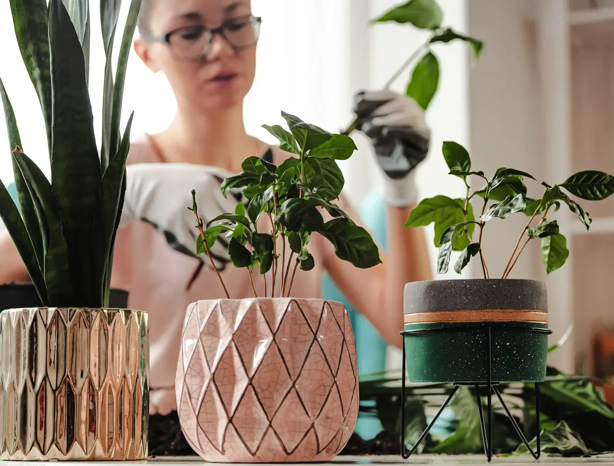 How to Craft Your Own Indoor Plant Hanging Planters