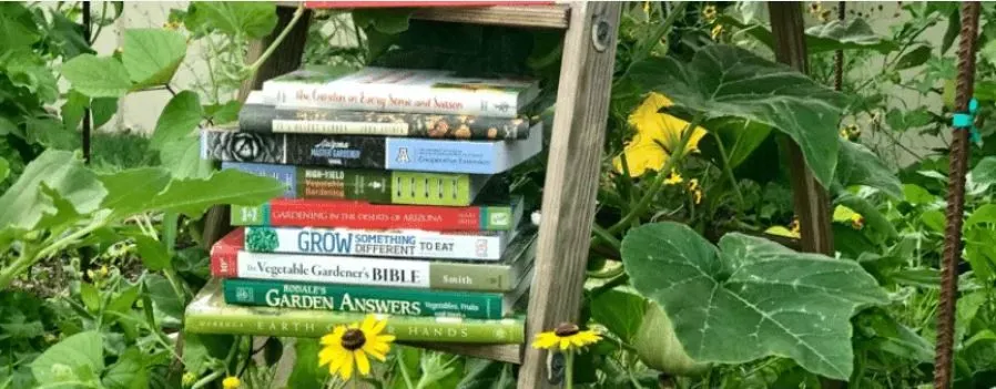 Top 10 Books for Apartment Gardening and Indoor Plant Care