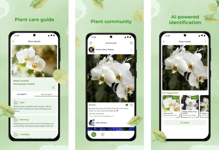 Best Apps for Tracking Indoor Plant Care in Your Apartment
