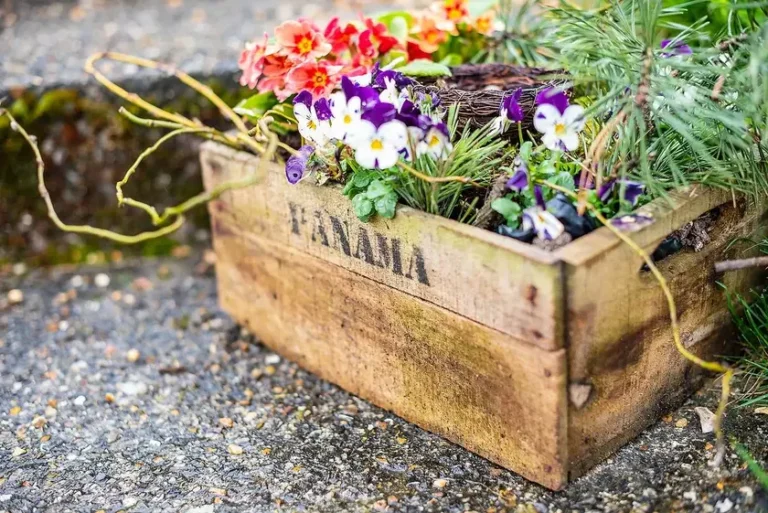 Creative Ways to Use Unusual Containers for Your Plants