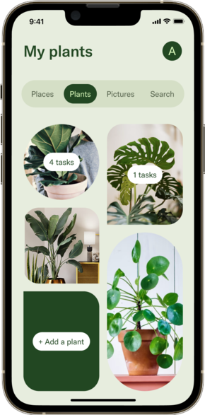 How to Track Watering Schedules with Plant Care Apps