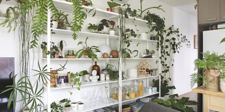 How to Style Indoor Plants for a Cozy Apartment