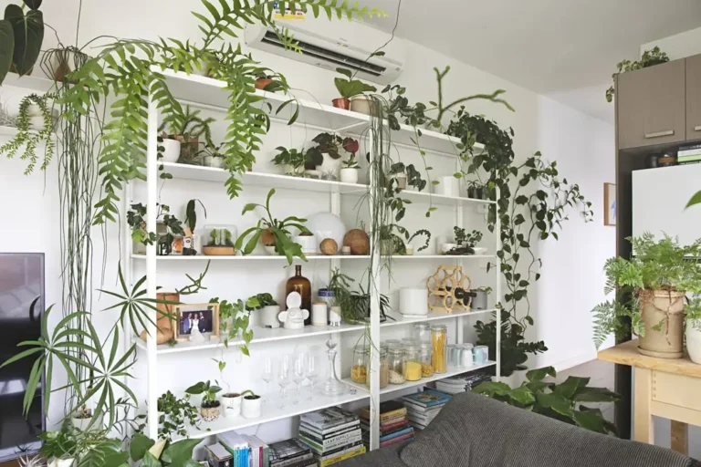 Best Plant Stands and Shelves for Your Apartment