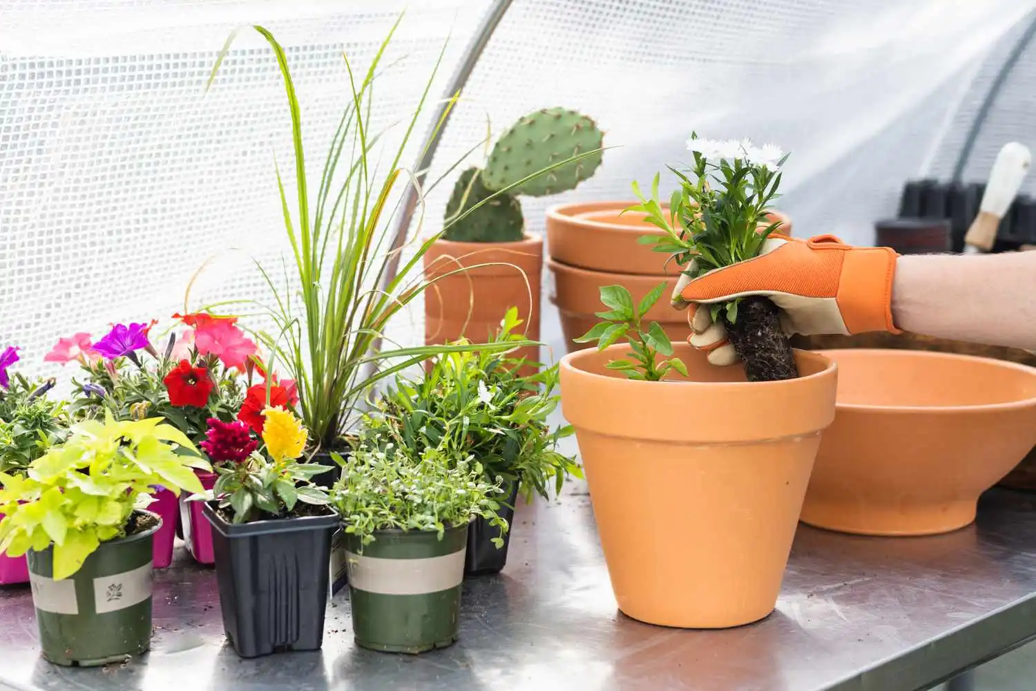 How to Design a Container Garden for Your Apartment