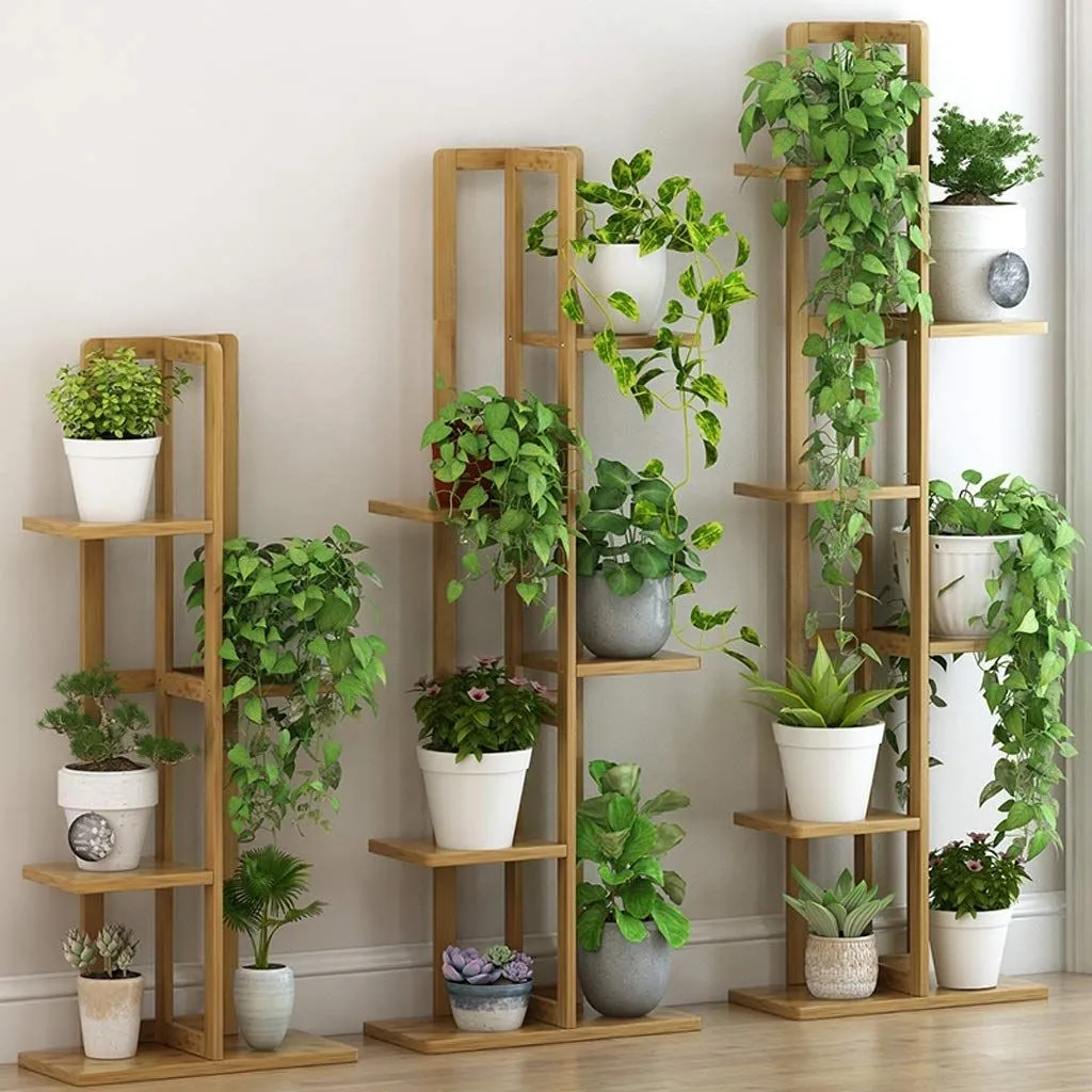 Creative Ideas for Showcasing Indoor Plants in Your Living Room