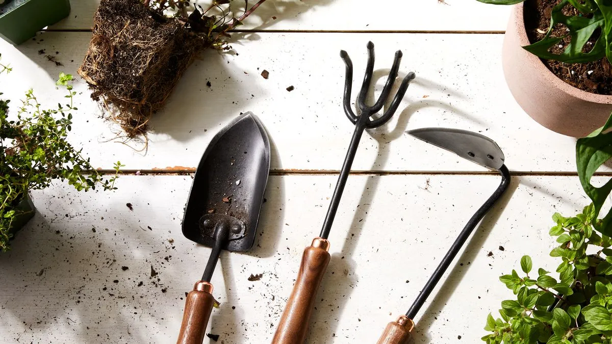 Top Fertilizer Tools and Accessories for Indoor Gardens