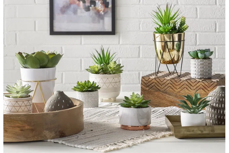 How to Choose the Right Pot for Your Indoor Plants